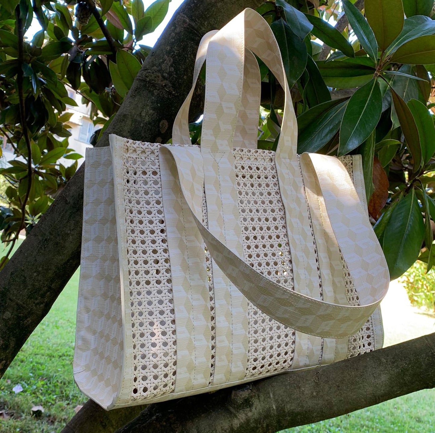 COSTANZA BENTOTA CREAM