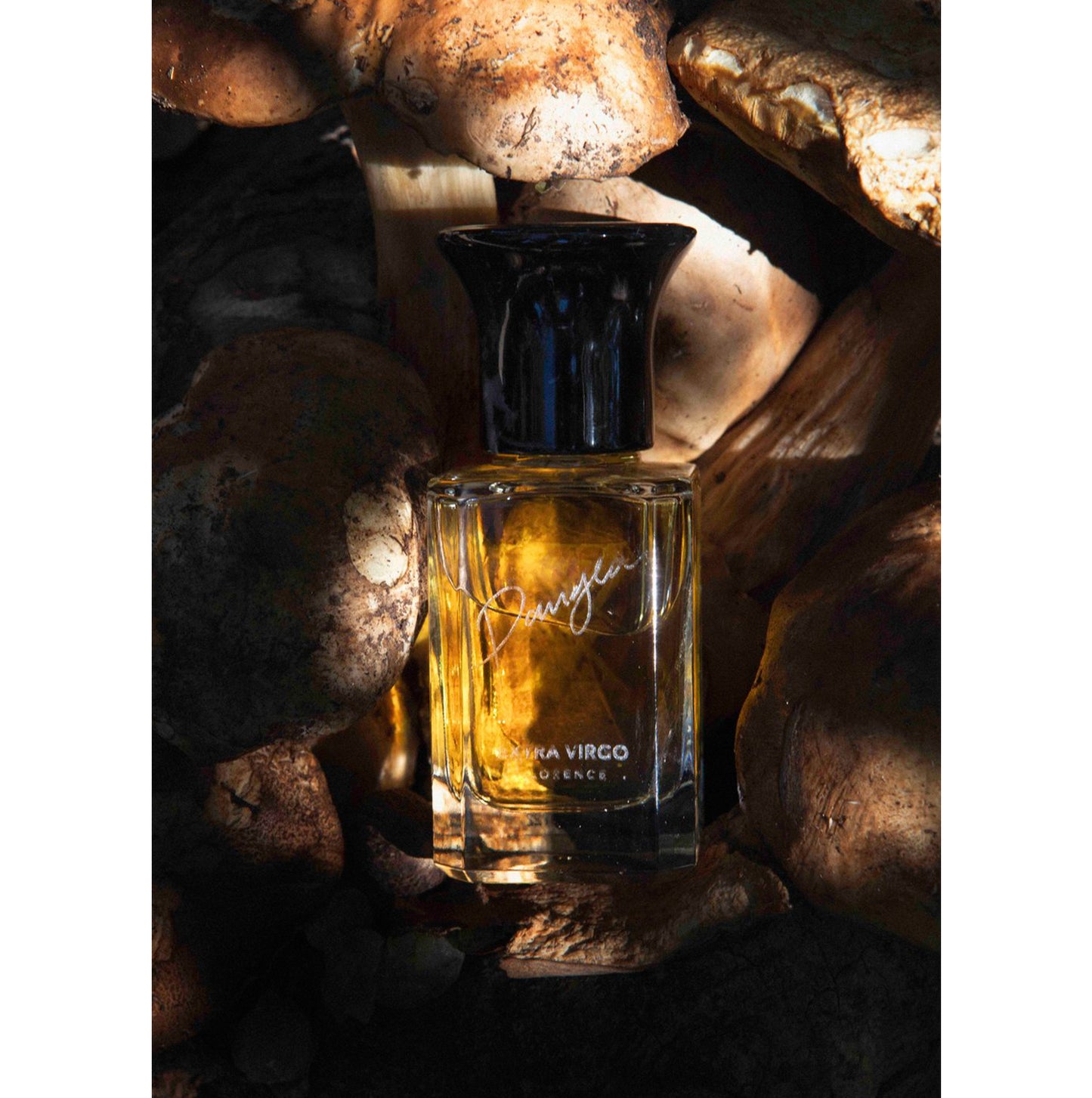 EXTRA VIRGO EXTRAIT DE PARFUM PANGEA 50ML