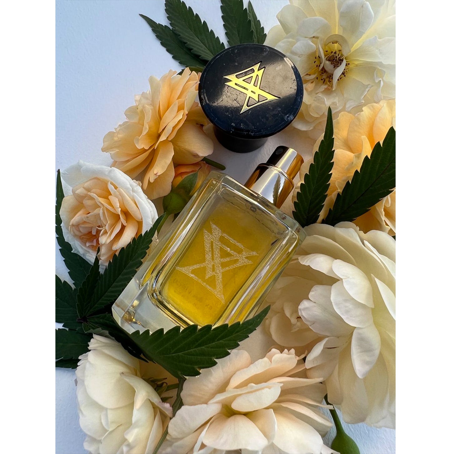 EXTRA VIRGO EXTRAIT DE PARFUM MONTE KUSH 50ML